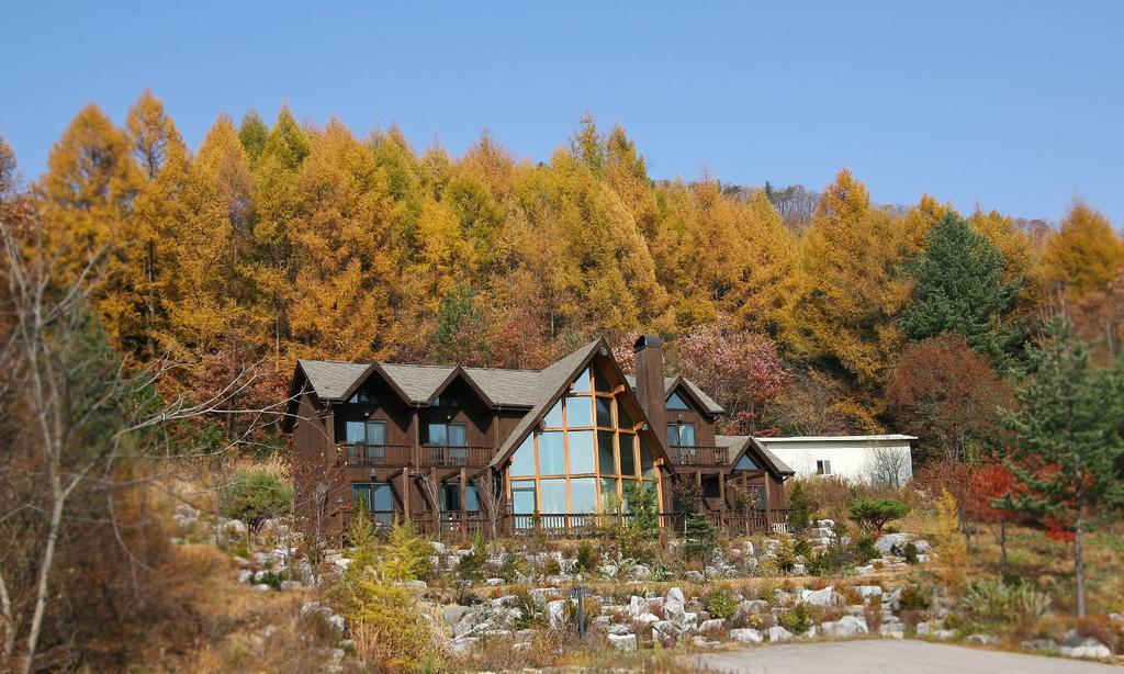 Chalet Resort Pyeongchang Dış mekan fotoğraf
